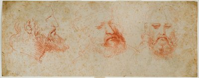 Three views of manly head with beard, c. 1502 by Leonardo da Vinci